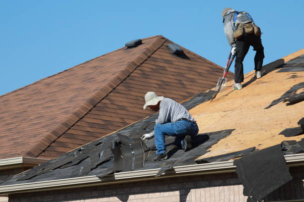 Best Rubber Roofing (EPDM, TPO)  in Caledonia, MI