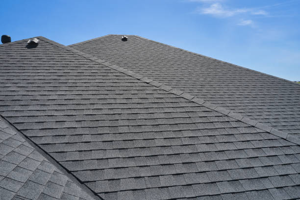 Best Roof Insulation Installation  in Caledonia, MI